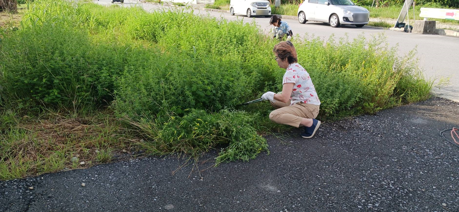 手袋をしっかりとはめ、草の棘から手を守りながら草を刈っていきます。